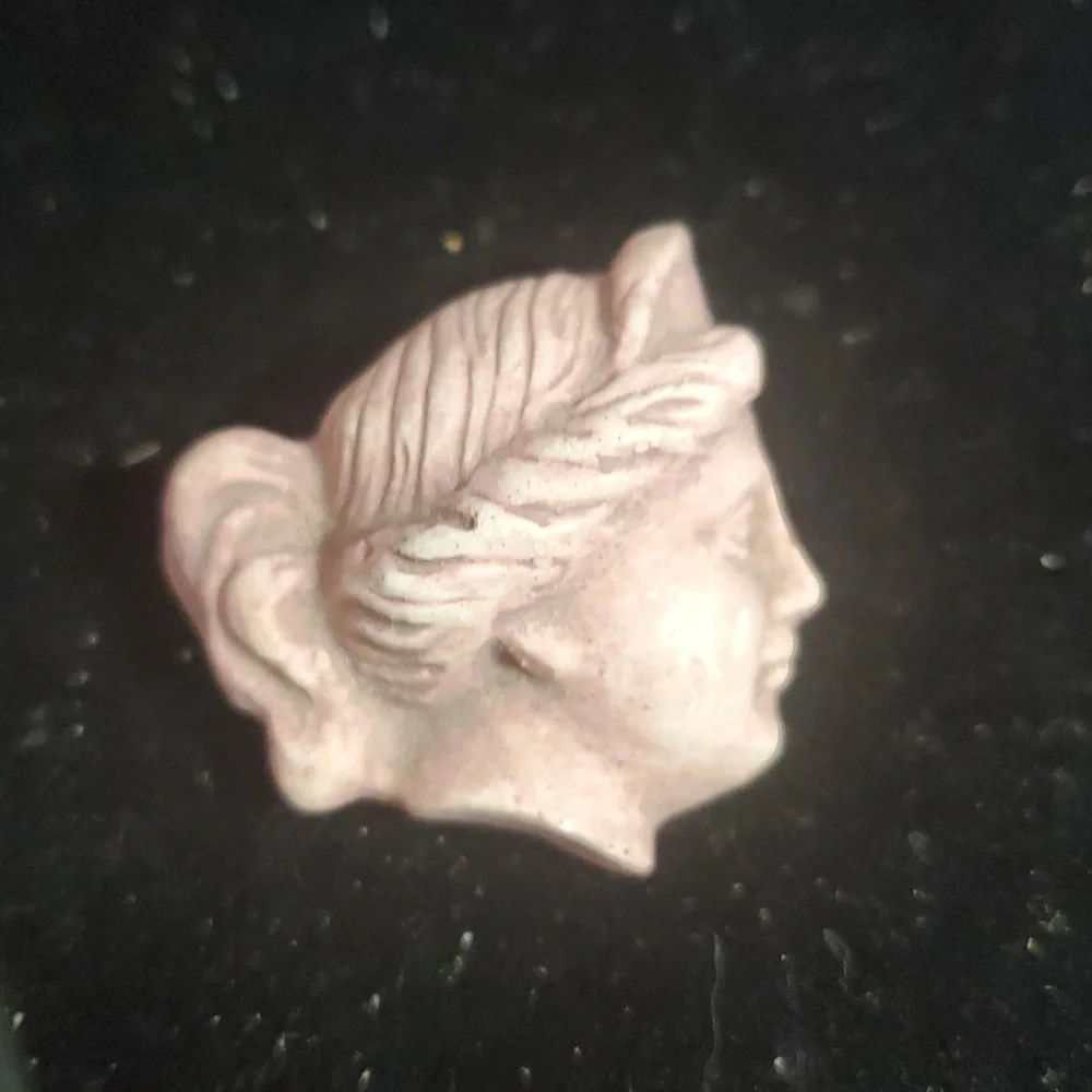 Vintage Style Cameo Brooch Set DA54